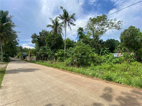 Commercial Lot For Sale At Bingag Dauis Panglao Island Bohol