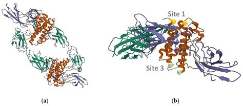 Bioinspired Materials for Sensor and Clinical Applications: Two Case ... 