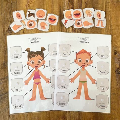 Body Parts/body Parts Printable Activity/homeschool Montessori/learning ...