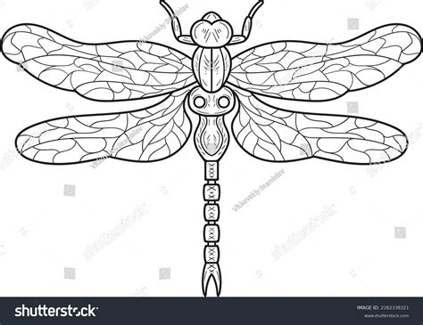 Dragonfly Vector Illustration Line Art Emblem Stock Vector (Royalty Free) 2262338321 | Shutterstock