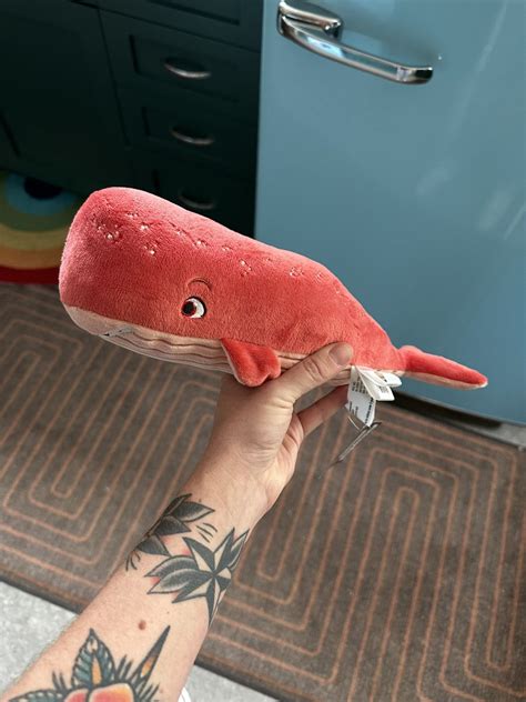 He Him Pussy Extraordinaire On Twitter RT Gingerhazing Also Netflix Sent Me Nimona Plushes