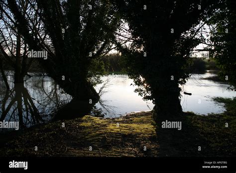 River Bank Scene Stock Photo Alamy