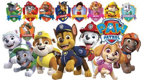 Paw Patrol Tv Fanart Fanart Tv