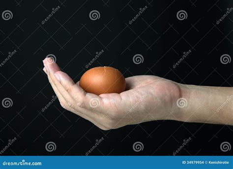 Hand With Egg Stock Images Image 34979954