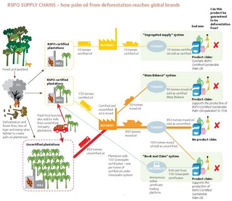 Palm Oil Supply Chain Huile De Palme D Forestation Huile