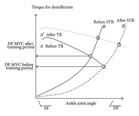 A Schematic Diagram Of The Relationships Between Angle Joint Angle And