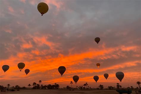 Why Fly With King Tut Balloons Hot Air Balloon King Tut Balloons