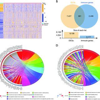 Differential Expression Analysis In LUAD Patients A Heatmap