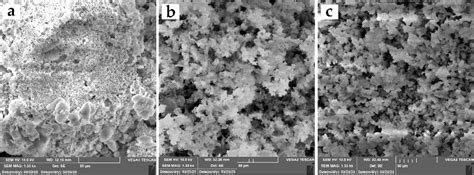 Figure 2 From Mesocellular Silica Foam As Immobilization Carrier For