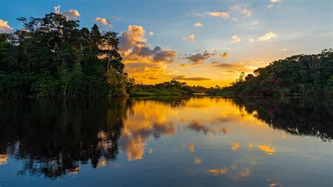 Exploring Yasuni National Park Ecuadorian Amazon Steppes Travel