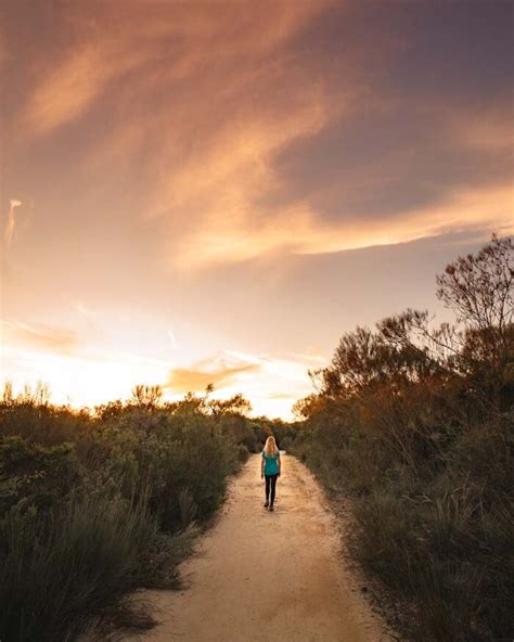 The 13 Most Beautiful Walks In Ku Ring Gai National Park Walk My World