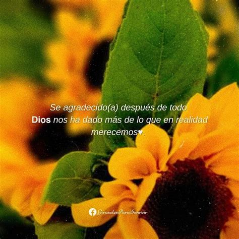 Pin De 🌻𝐆𝐈𝐑𝐀𝐒𝐎𝐋𝐄𝐒🌻 En Frases Todo Tipo Bendecido Dia Mensajes