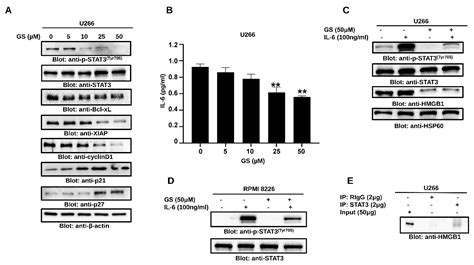 Cancers Free Full Text Guggulsterone Induces Apoptosis In Multiple