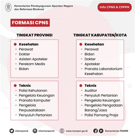 Formasi CPNS Dan PPPK 2021 Untuk Semua Instansi Pusat Dan Daerah