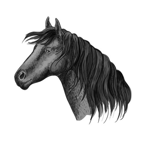 Premium Vector | Horse head sketch portrait