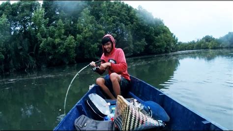 Mancing Di Sungai Dapat GT YouTube