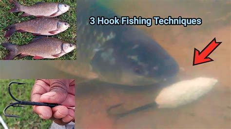 मछली पकड़ने की सर्वोत्तम तकनीक Best Fishing Techniques 3 Hook