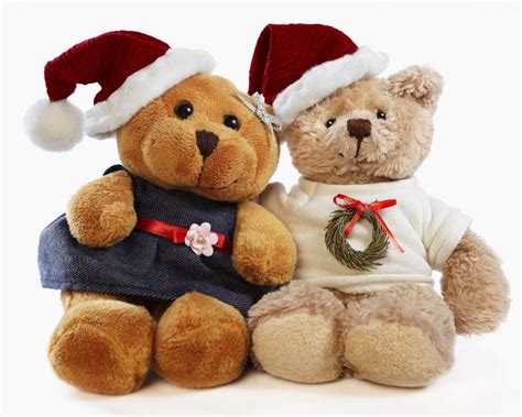 lovely  beautiful teddy bear wallpapers duul wallpaper