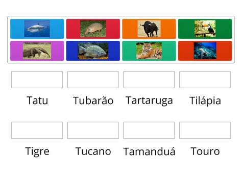 Nome De Animais Com A Letra T - Animais com a letra T - Match up