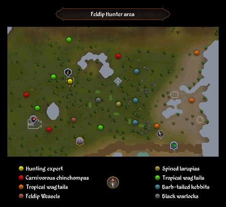 Feldip Hunter area | RuneScape Wiki | Fandom