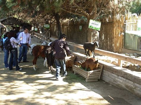 Foto de Buin, Chile