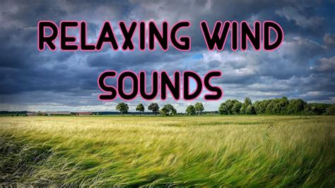 Relaxing Wind Sounds Relaxing Wind Nature Sounds Musical Magic