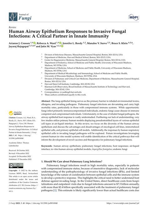 Pdf Human Airway Epithelium Responses To Invasive Fungal Infections