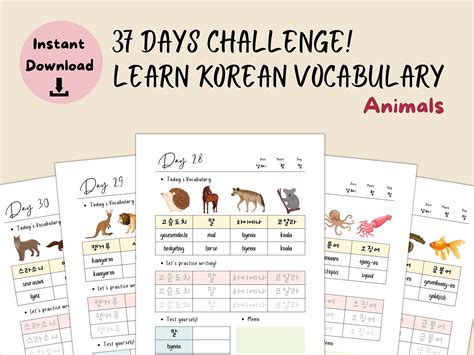 Learning Korean Vocabulary, Korean Worksheet Download, Korean Learn ...