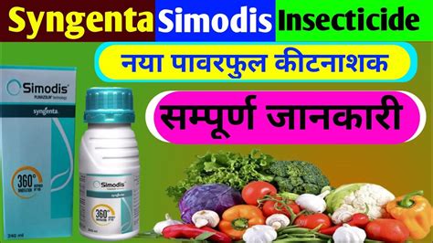 Simodis Insecticide Simodis Syngenta New Product