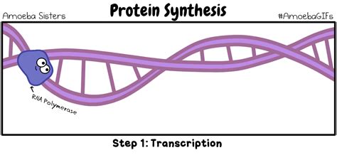 Microbial Genetics Scientist Cindy