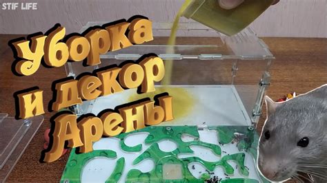 Уборка формикария и декор арены для муравьёв. - YouTube