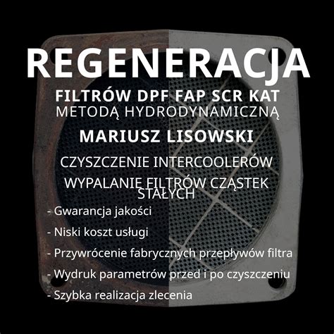 Regeneracja czyszczenie filtrów cząstek stałych DPF FAP SCR GPF KAT