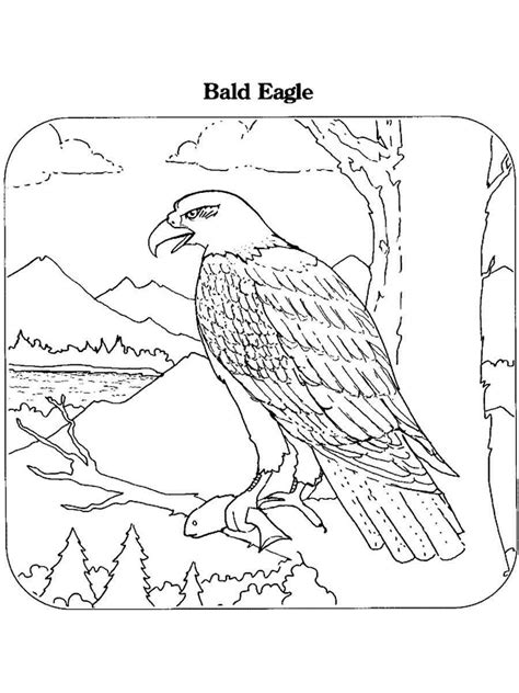 Bald Eagle caught a fish coloring page