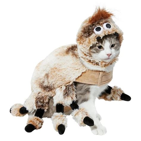 36 Best Cat Halloween Costumes for 2021 | Reader’s Digest