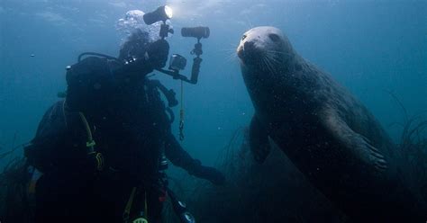 Top UK Scuba Diving Adventures For 2023 British Sub Aqua Club