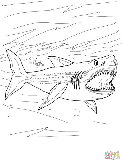 Thresher Shark Coloring Page At Getdrawings Free Download