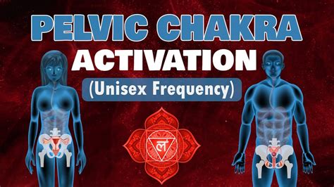 Root Chakra Healing Pelvic Floor Meditation For Balance And Stability