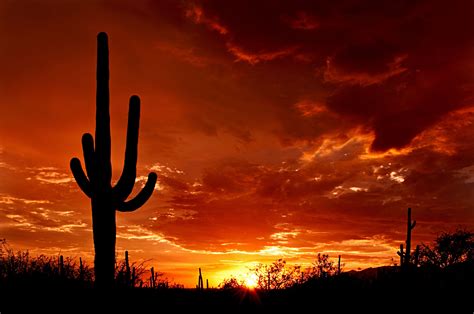 Tucson Arizona Wallpapers Wallpaper Cave