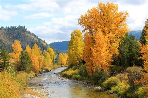 Autumn River in Montana Photograph by Athena Mckinzie - Pixels