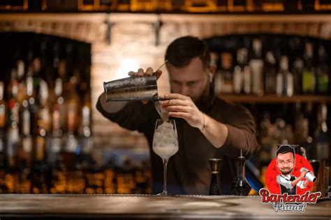 What Qualification Do You Need To Be A Bartender Bartenderplanet