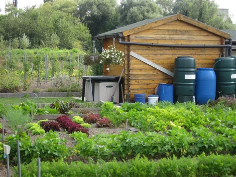 Jardins Partag S Des Oasis Dans La Cit La Terre Est Un Jardin