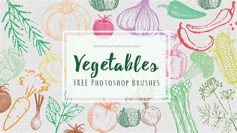 21 Free Sketched Vegetables Brushes For Photoshop Photoshop Free Brushes