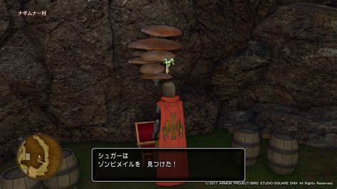 ドラクエ11dq11｜まほうのカギ入手直後に開けられる扉と回収できる宝箱 しゅがーはうす