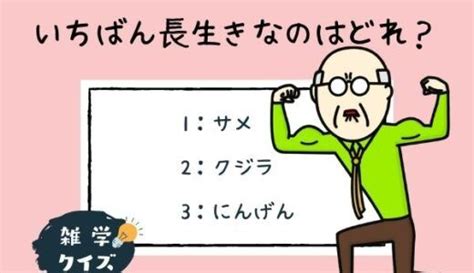 なぞの森 なぞの森には楽しい「なぞなぞ・クイズ」がいっぱい！クスッと笑える簡単なぞなぞから頭がよくなる論理クイズまでなぞ森には子供も大人も