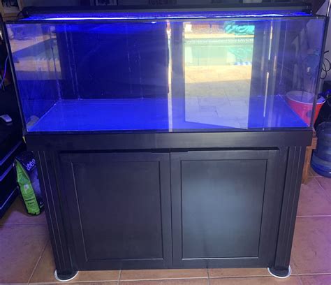 60 Gallon Rimless Aquarium For Sale In Miami Fl Offerup