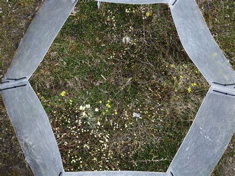 Our Research - ITEX-AON understanding tundra ecosystem change - Grand