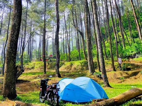 Menyelami Keindahan Gunung Puntang Spot Camping Terbaik Di Bandung