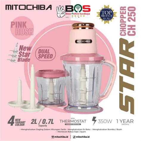 Jual MITOCHIBA Star Chopper CH 250 Pengolah Daging Bumbu Buah