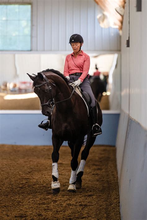 8 Shoulder-In Problems and Solutions - Practical Horseman