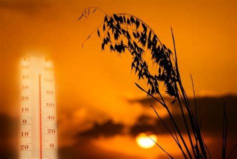 Los Rayos De Nube A Tierra Fueron Clave Para El Desarrollo De La Vida